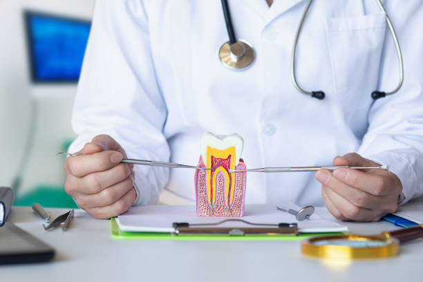 Best Emergency Dentist for Knocked-Out Tooth in Adrian, MO